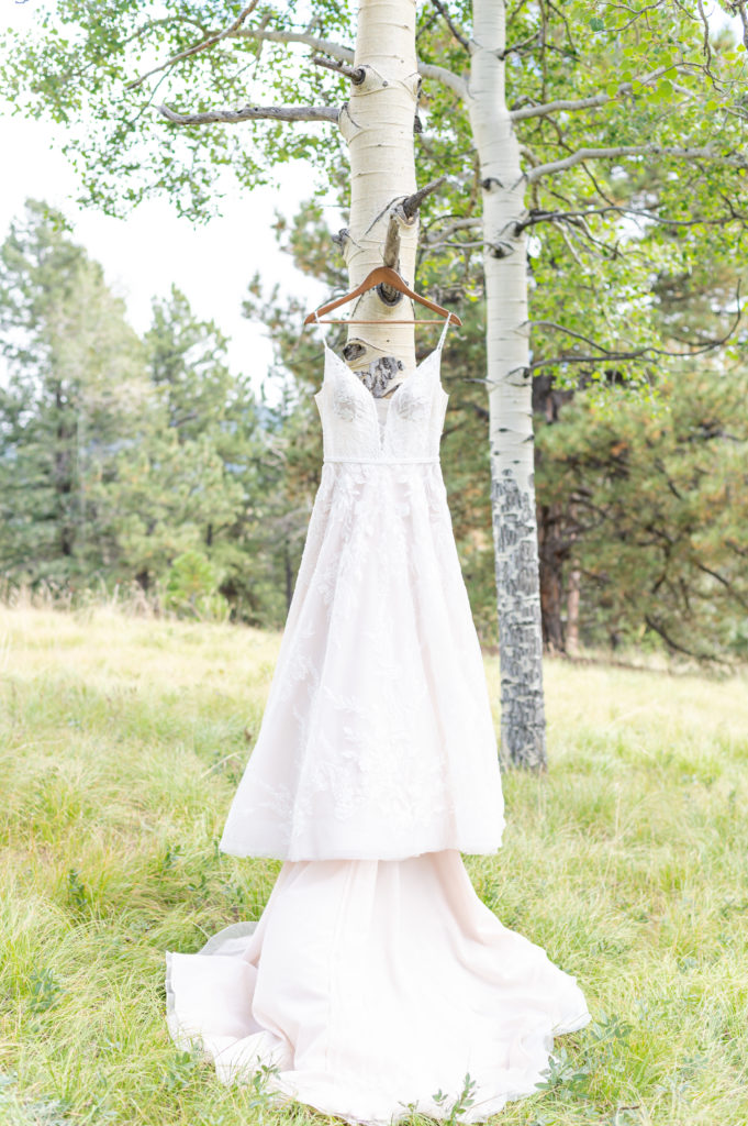 Beautiful bride's dress hanging on tree in Mueller State Park in Colorado. 