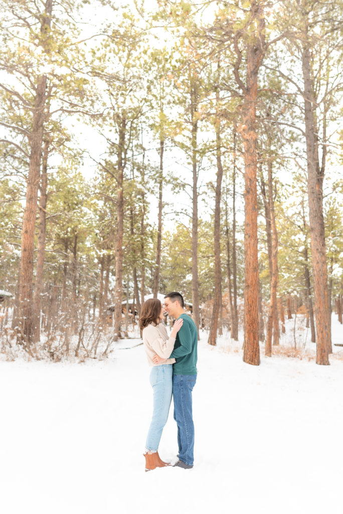 Winter couple photoshoot kissing in the park at fox run regional park. 