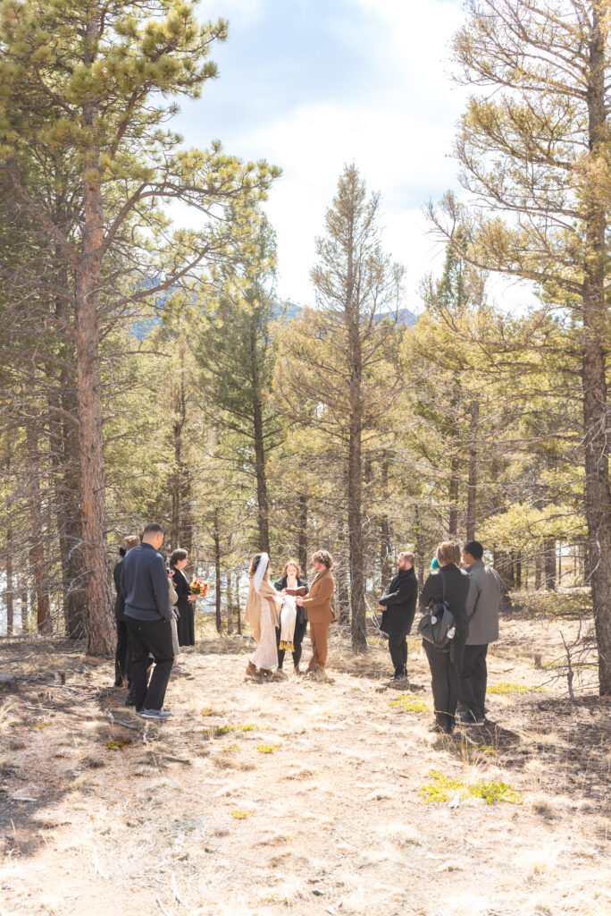 Elopement Ceremony with friends and family at Pikes Peak in Colorado Springs