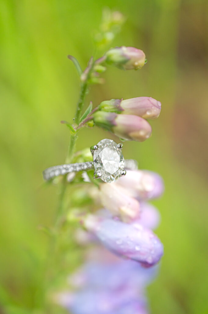 Close detail ring shot of the engagement ring on a wildflower while it was raining