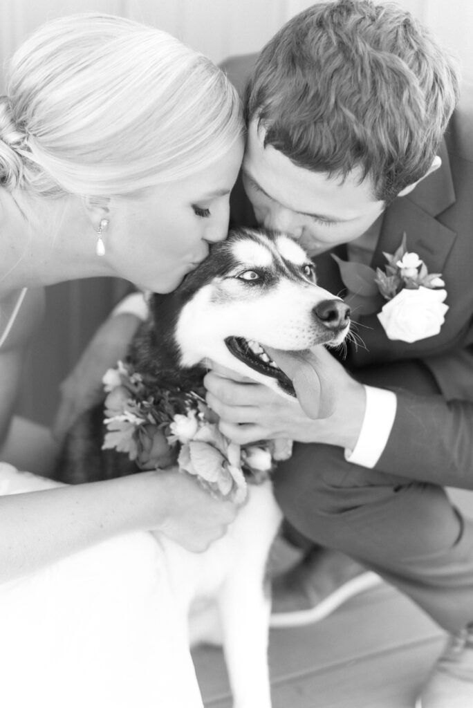 Bride and Groom giving their dog a kiss during their first look together with their dogs on their wedding day 