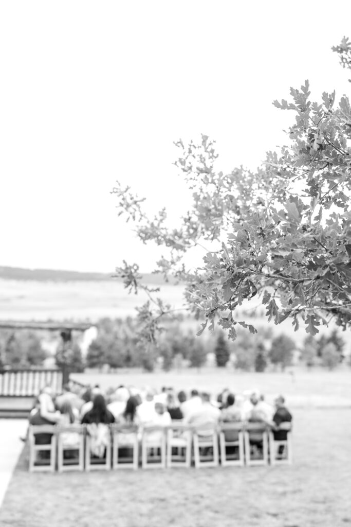 Black and white image of tree branches, with wedding guests in the background