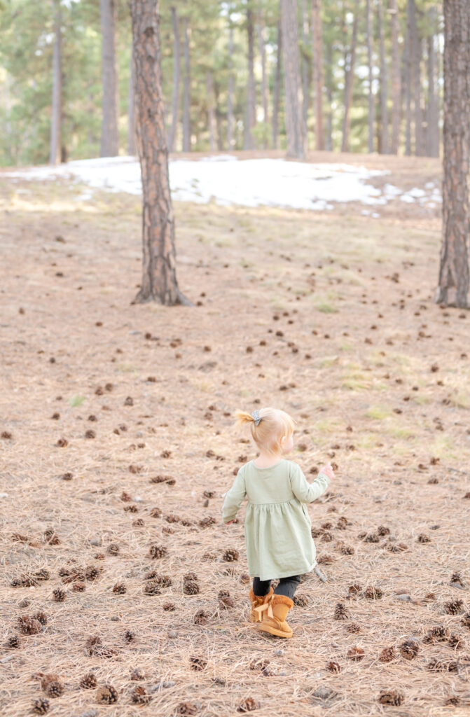 Little girl in a sage green dress wanders through a pine cone strewn forest