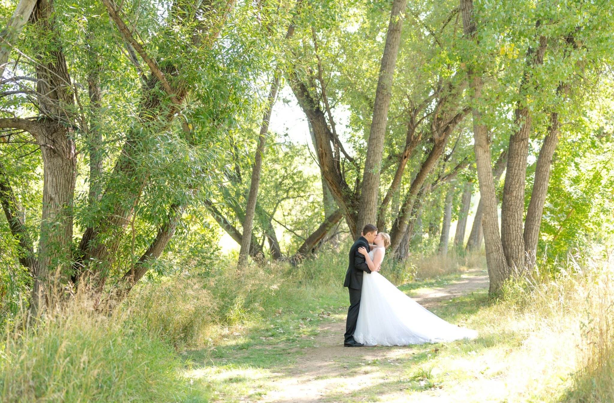 Bride and groom sharing a kiss along a tree-lined path in Colorado Springs, her full tulle gown catching the soft afternoon light.